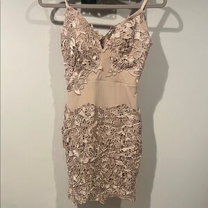 Windsor Lace Mini Dress in Rose Gold